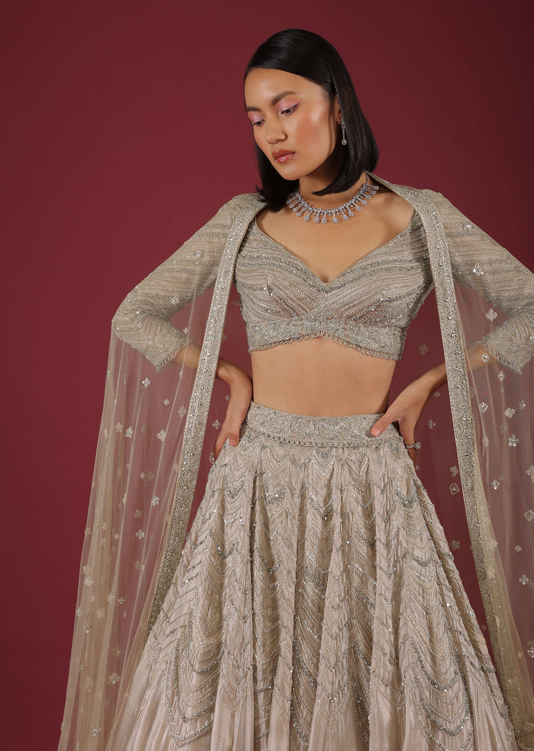 Oyster Organza Lehenga With Cut Dana Embroidery, Crop Top Comes In 3/4Th Sleeves With A Deep V Neckline