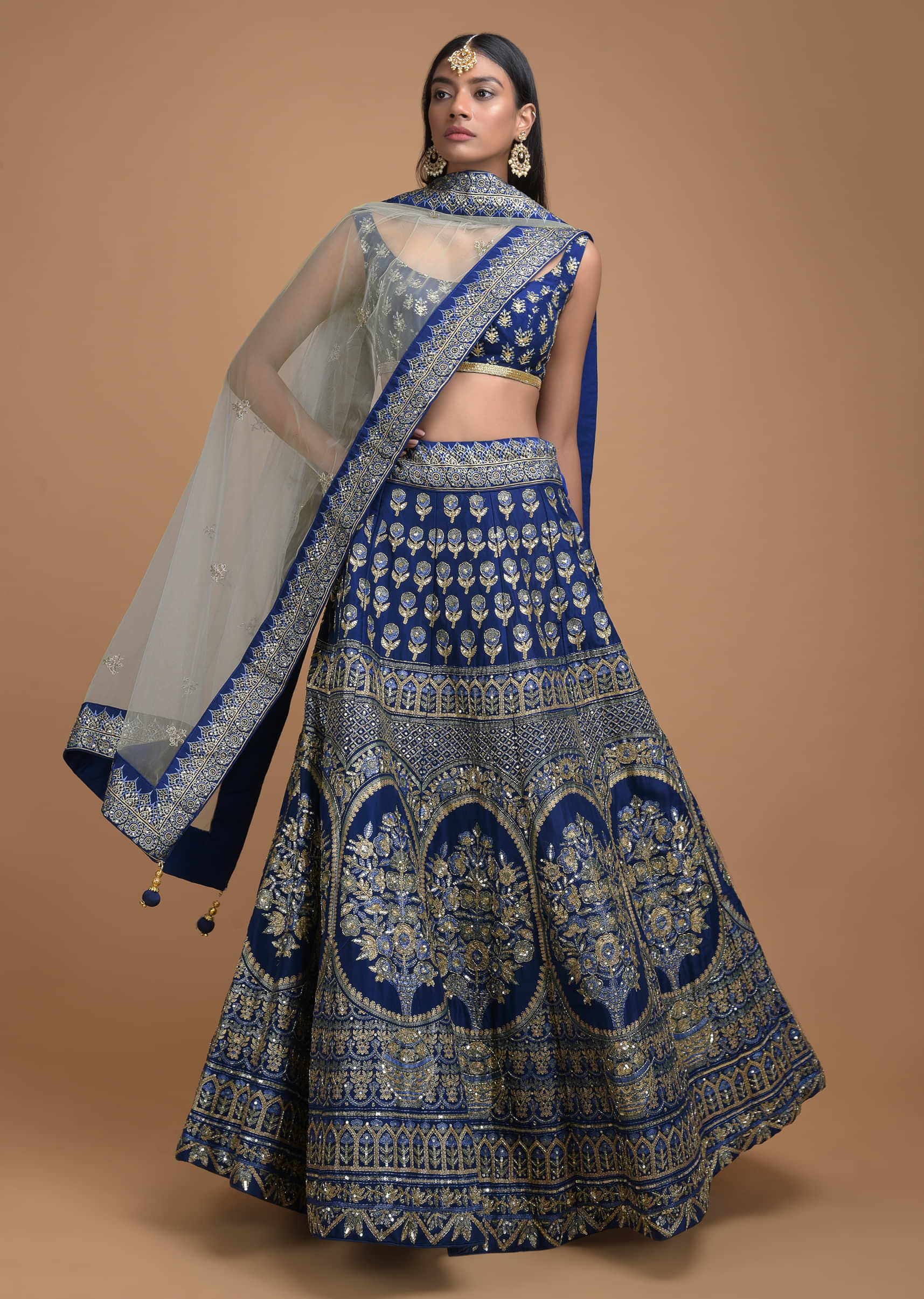 Navy Blue Lehenga Choli With Foil Print In Framed Floral Motif And Heritage Pattern 