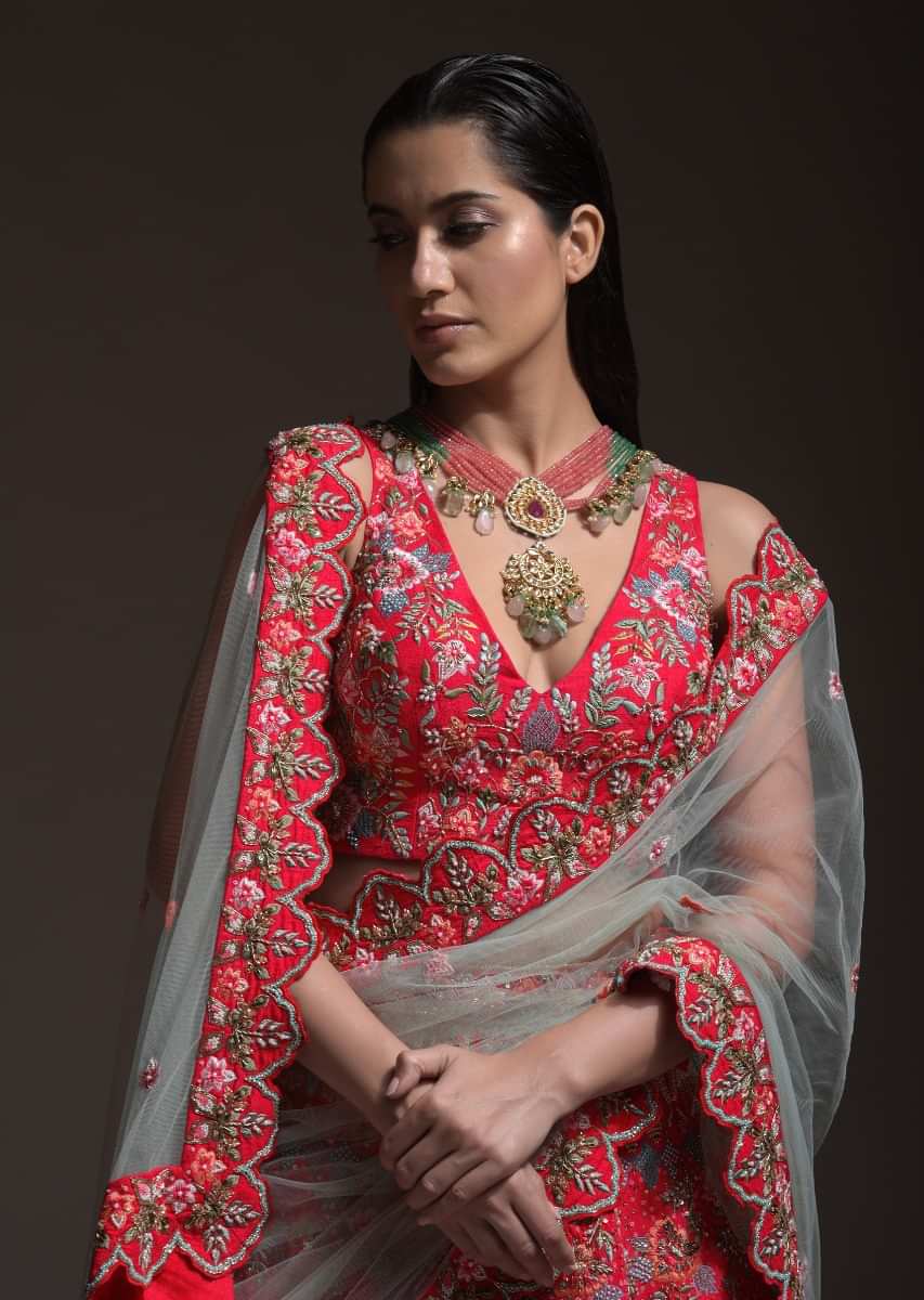 Carmine Red Heavy Embroidered Lehenga With Resham Embroidered Floral Vines And Heritage Border 