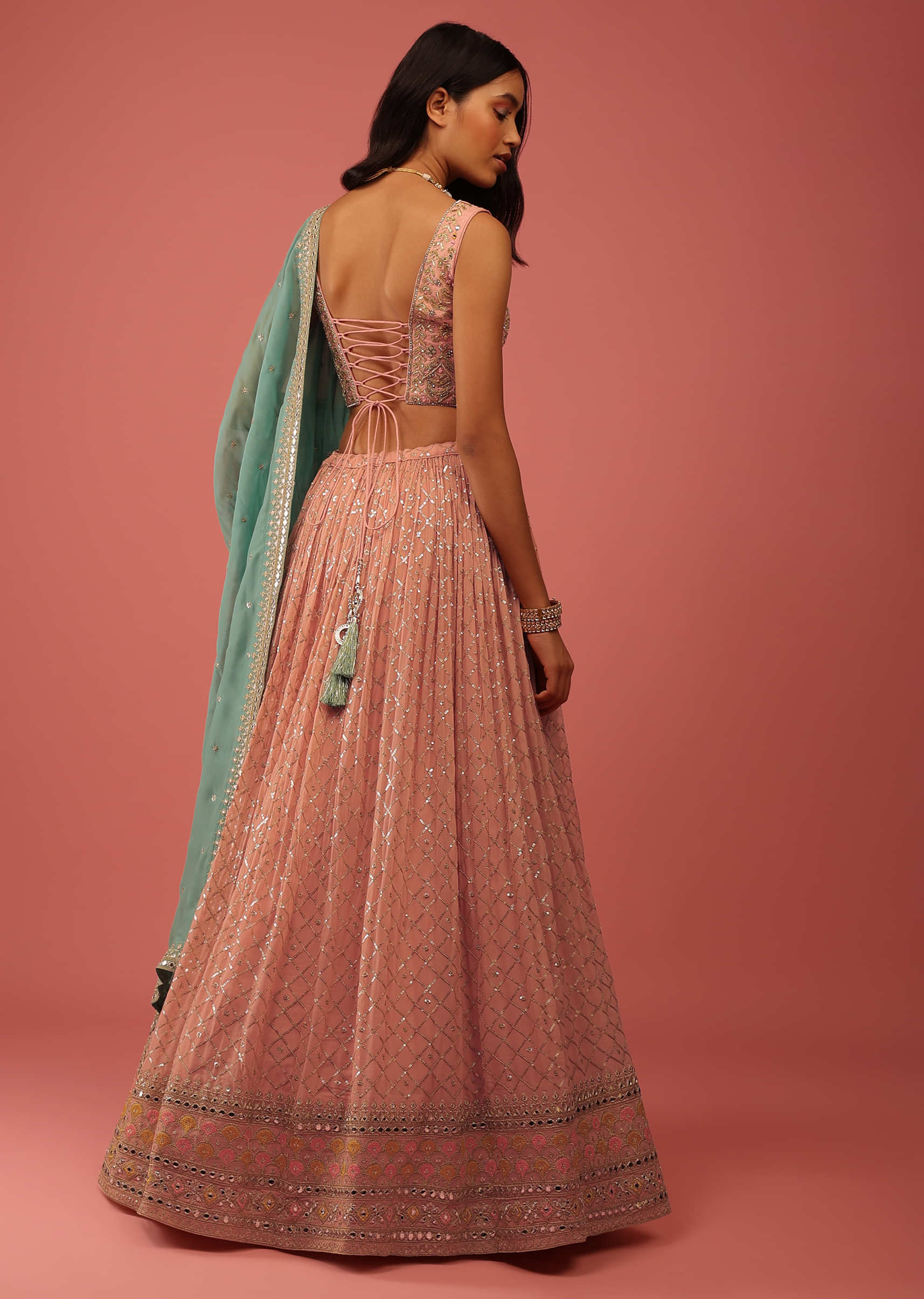 Rose Pink Lehenga Choli With multicolor Resham Border And Sequin Mesh Jaal