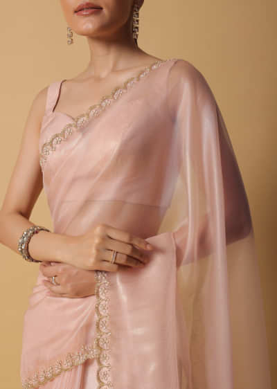 Beige Toned Foil Saree In Tissue With Cut Dana Embroidered Borders