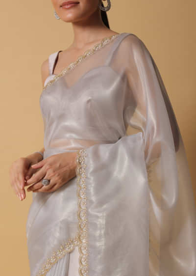 Cloud Grey Foil Saree In Tissue With Cut Dana Embroidered Borders