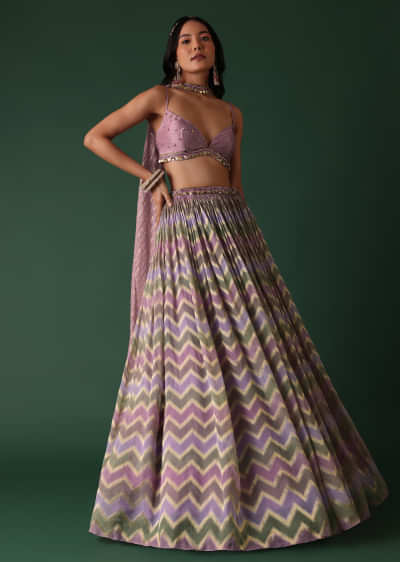 Onion Pink Banarasi Silk Printed Lehenga Set