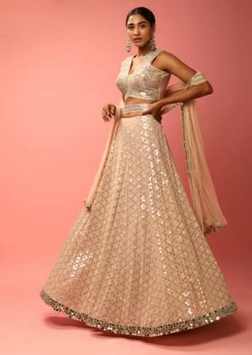 Rose Dust Lehenga Choli In Georgette With Sequins Embroidered Jaal And Mirror Border 