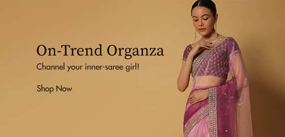 Stunning Premium Saree Belt Designer Saree Waist Belts Mirror Work Saree  Belt Bet for Lehenga or Saree Saree Belt -  Canada